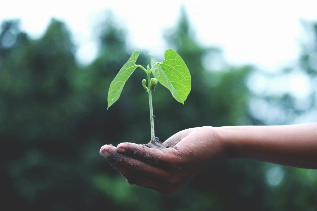 WFPT Foundation Protect the Environment